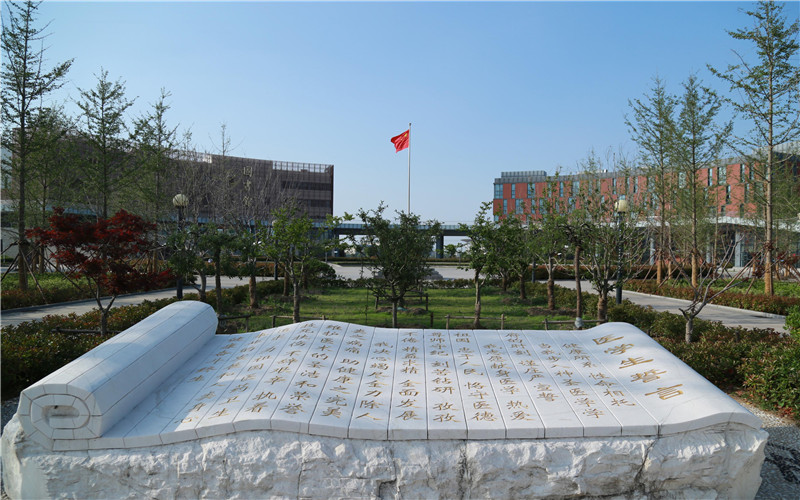 政协委员建议将已关闭的幼儿园改造为老年活动中心，上海市教委、民政局答复